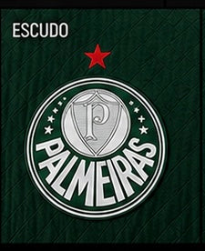 Camisa Palmeiras Fã