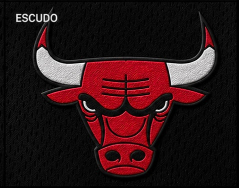 Camisa Chicago Bulls NBA